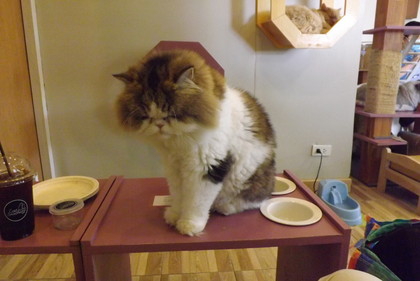 この子も目を合わせません